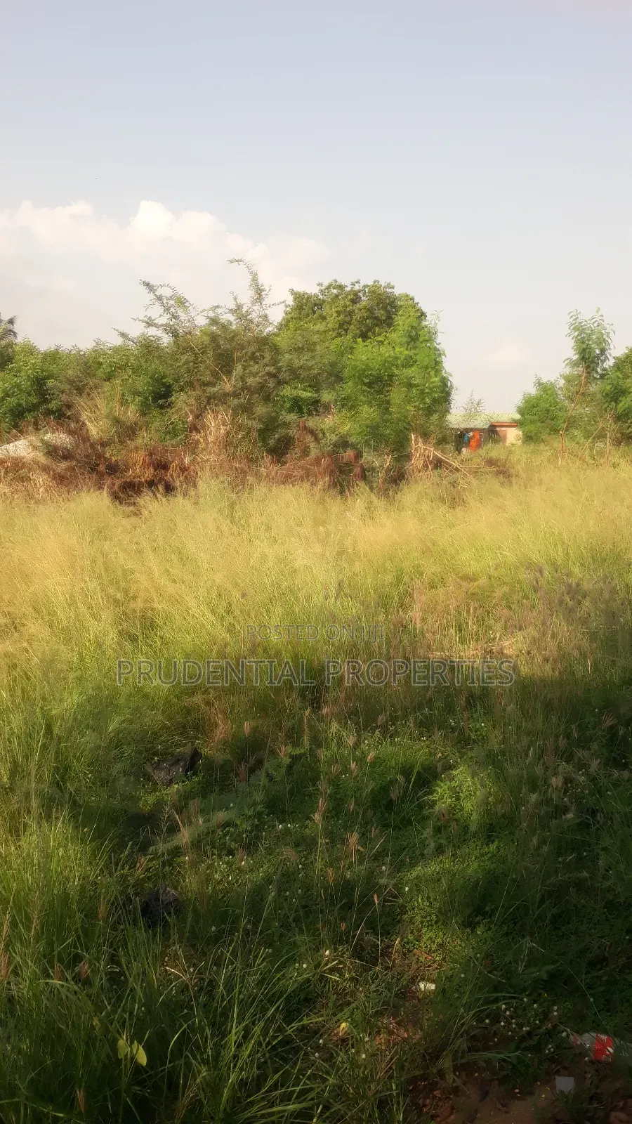 4 Plots of Land for Sale at Akuapim