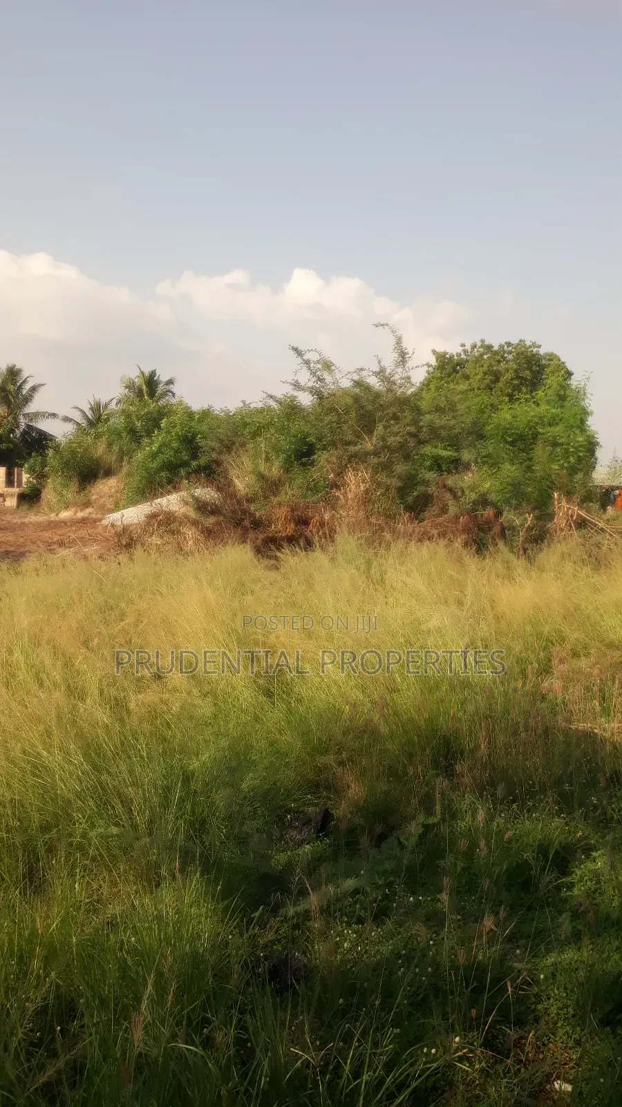 4 Plots of Land for Sale at Akuapim