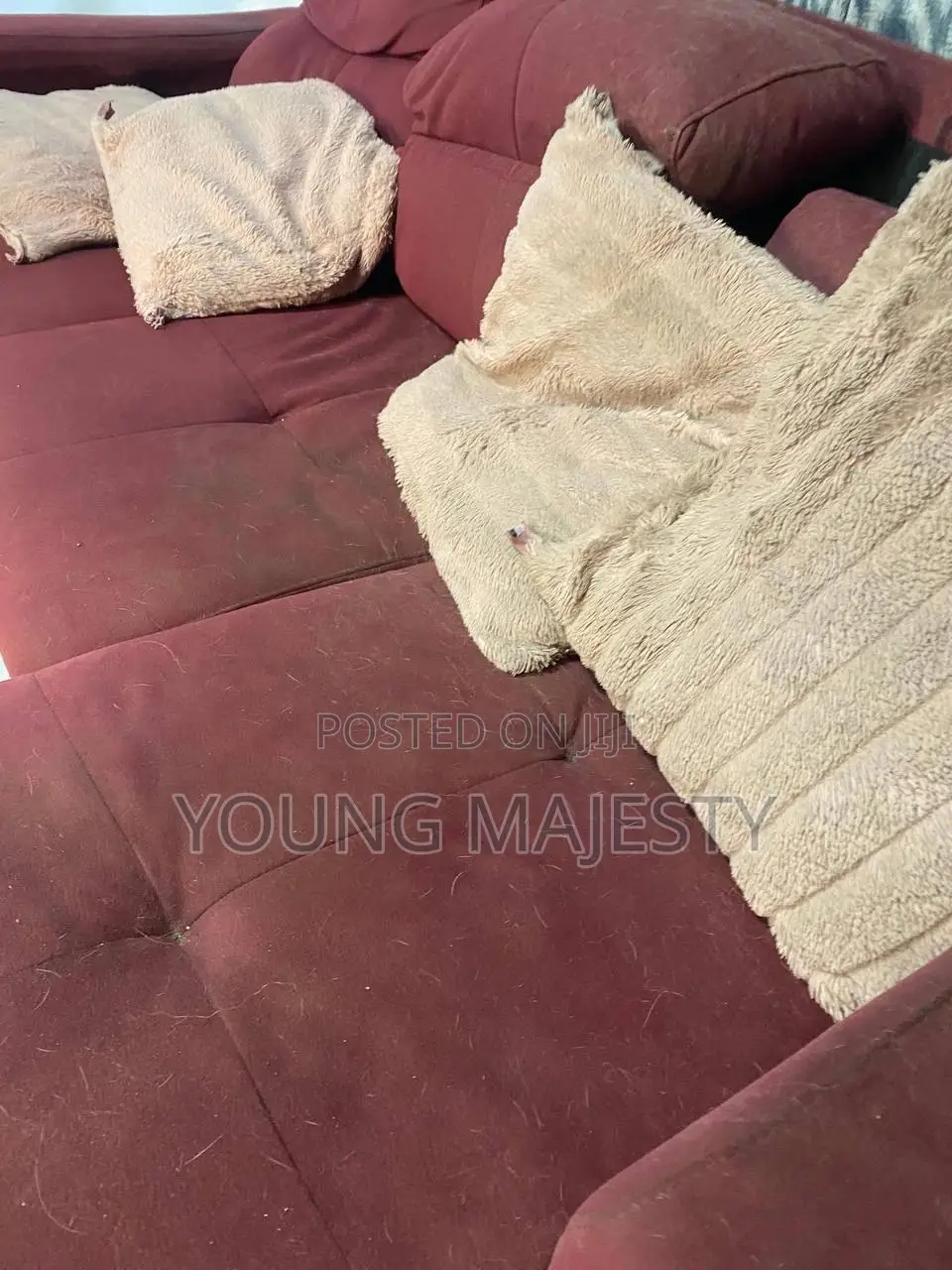 Sofa and Bed Cleaning Services