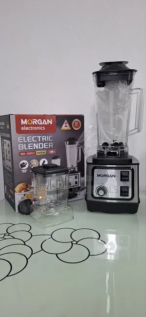 Morgan 2 in 1 Blender