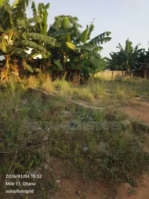 Half Plot for Sale