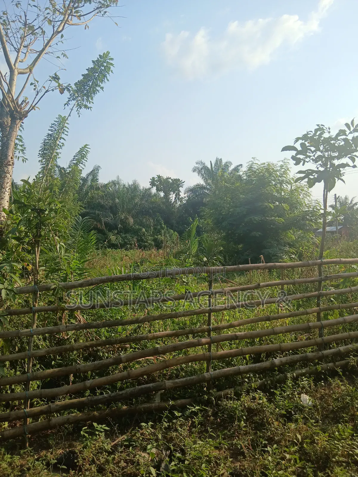 4bdrm House in Hohoe for sale