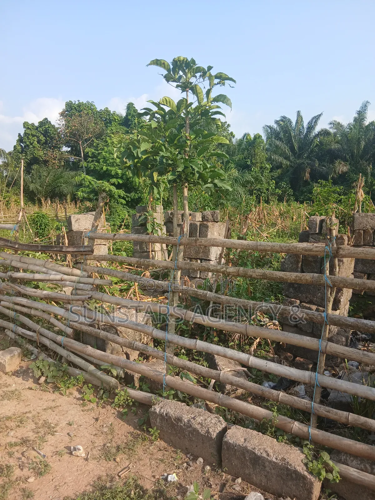 4bdrm House in Hohoe for sale