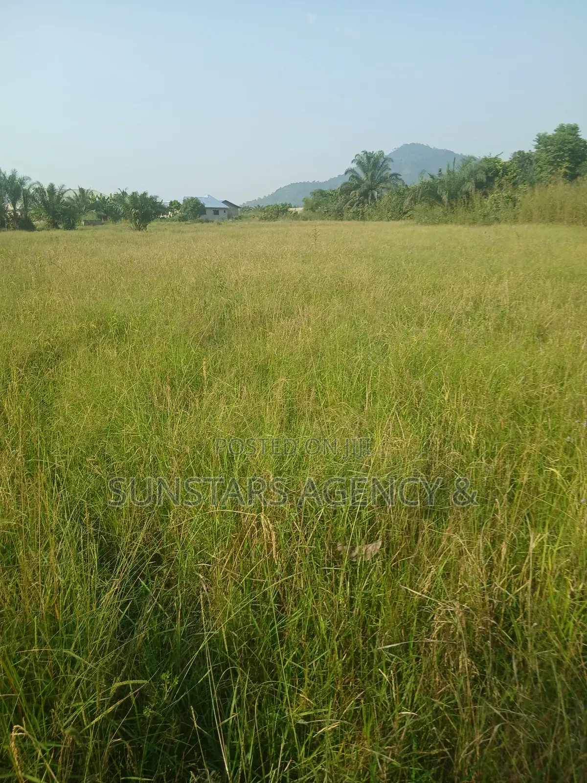 Wet Land for Sale