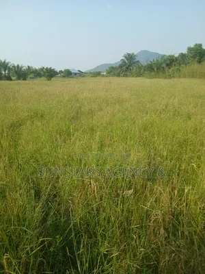Wet Land for Sale
