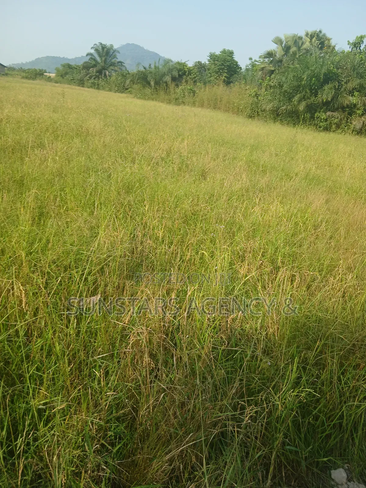 Wet Land for Sale