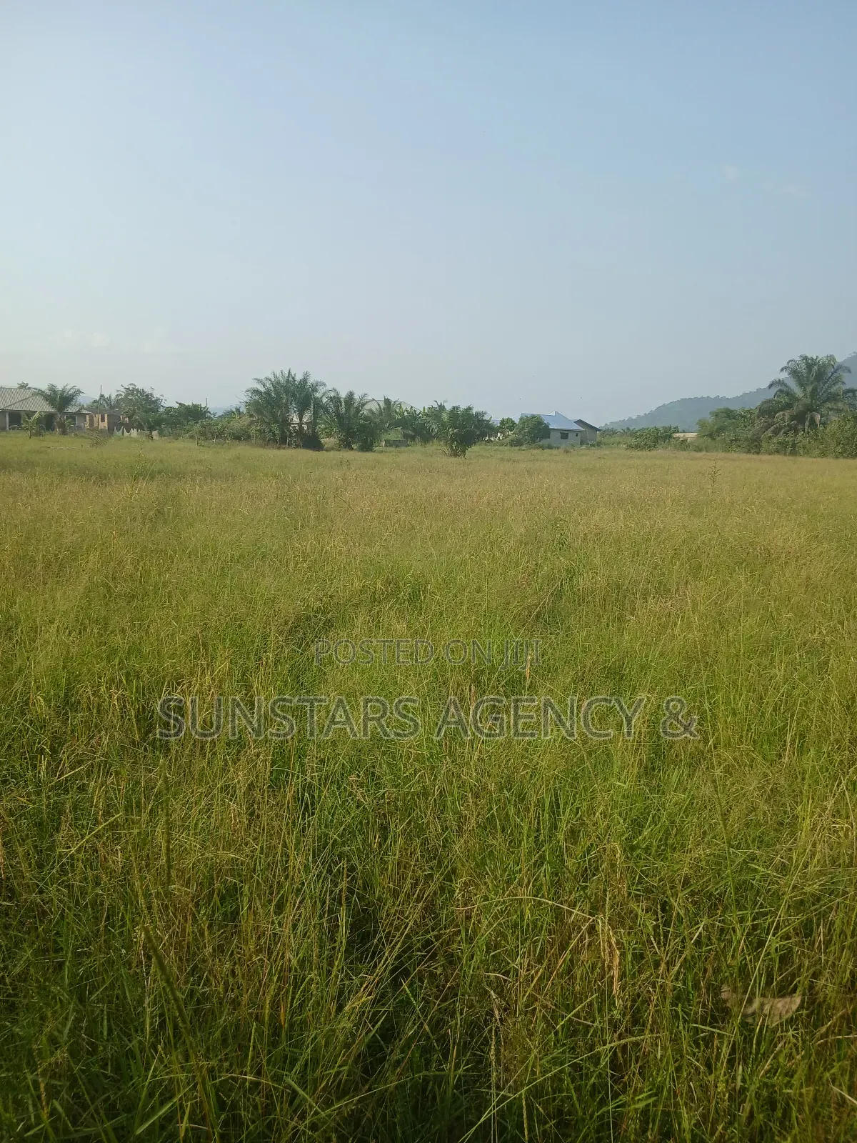 Wet Land for Sale