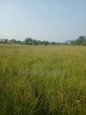 Wet Land for Sale