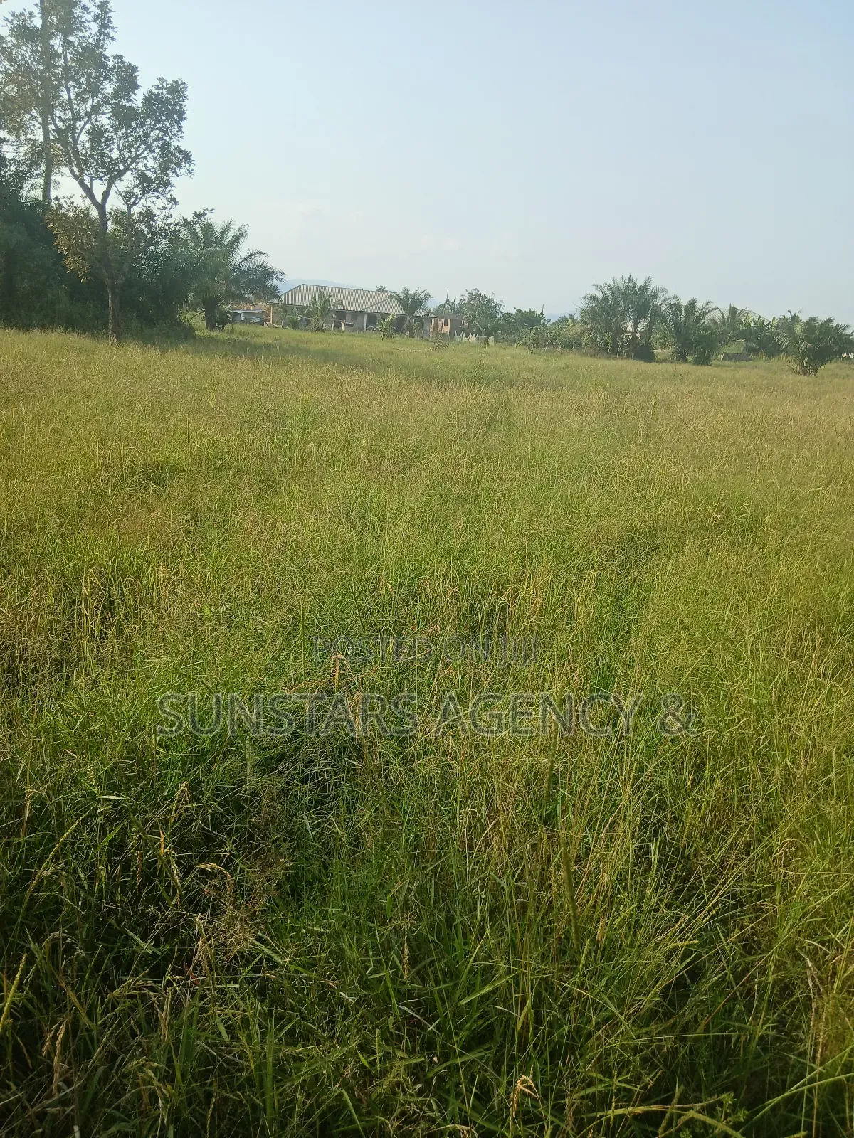 Wet Land for Sale