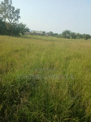 Wet Land for Sale