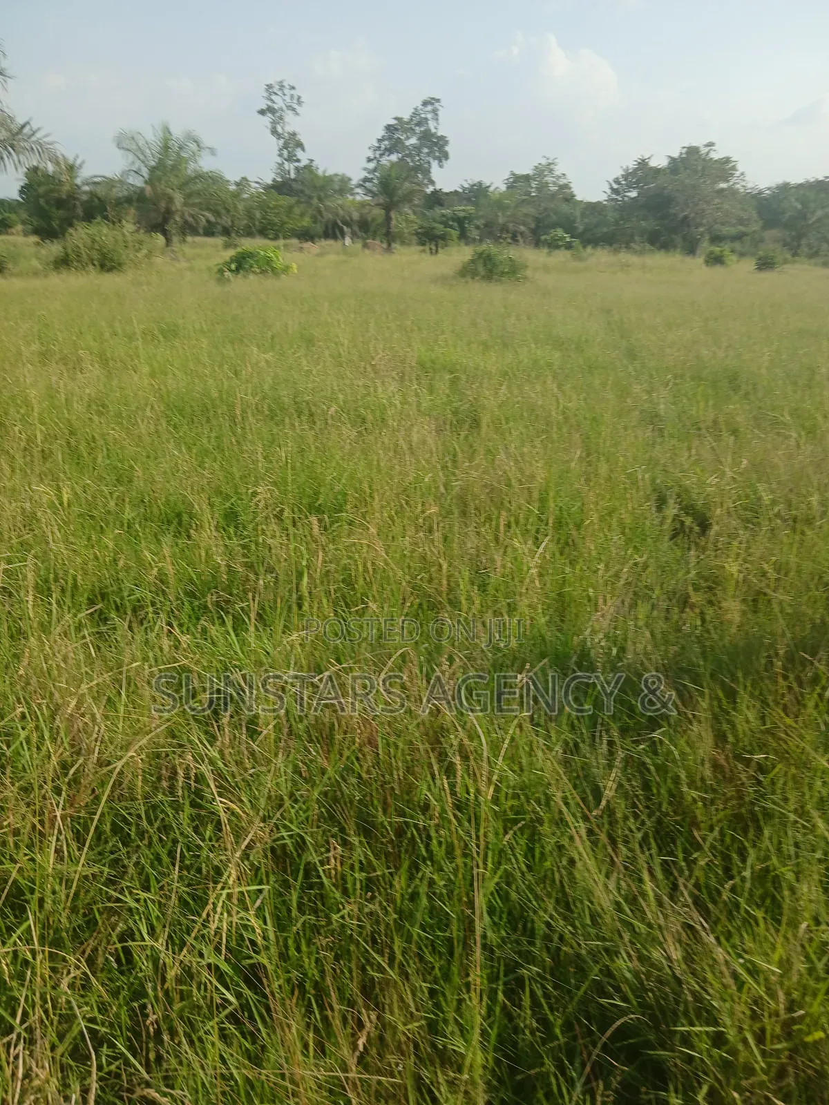 Wet Land for Sale