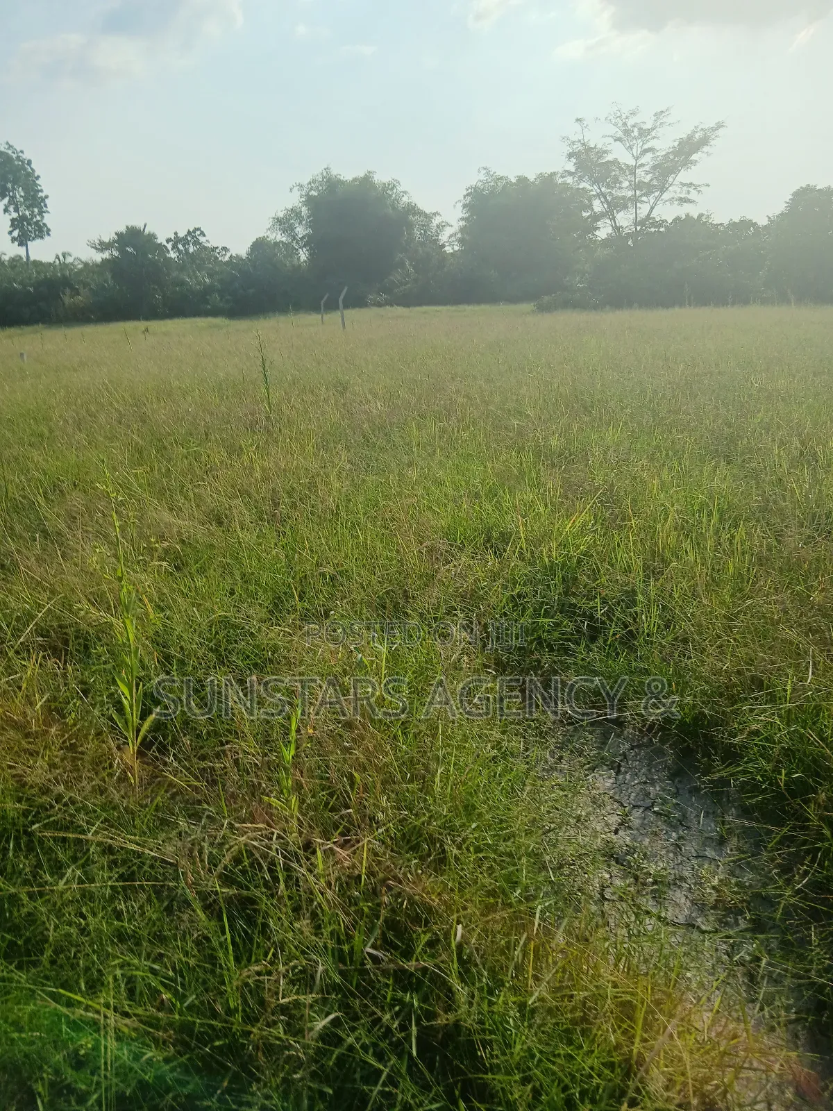 Wet Land for Sale