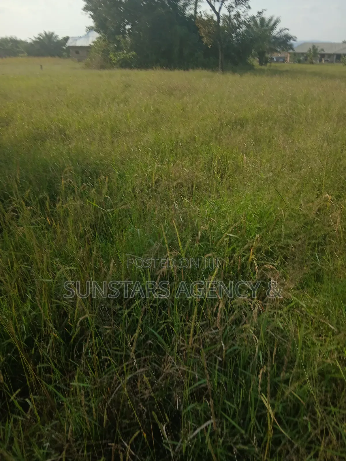 Wet Land for Sale