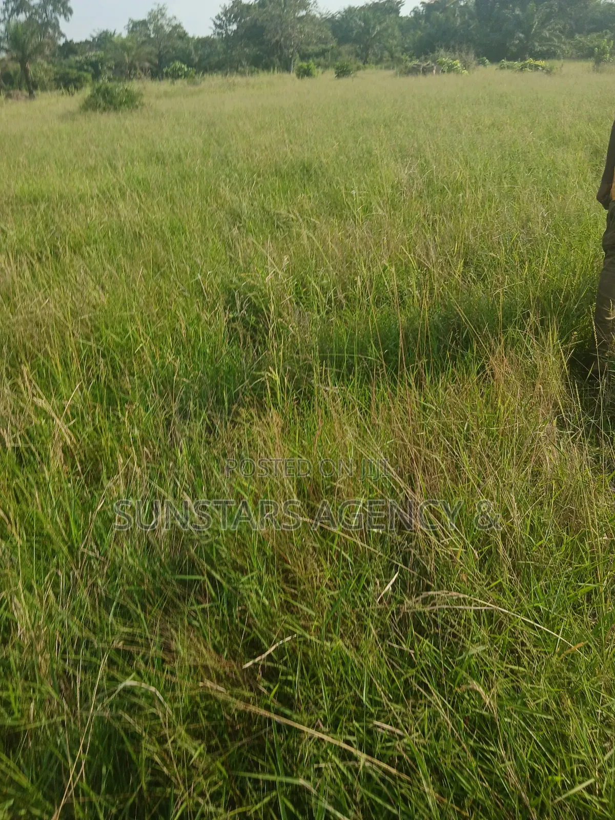 Wet Land for Sale