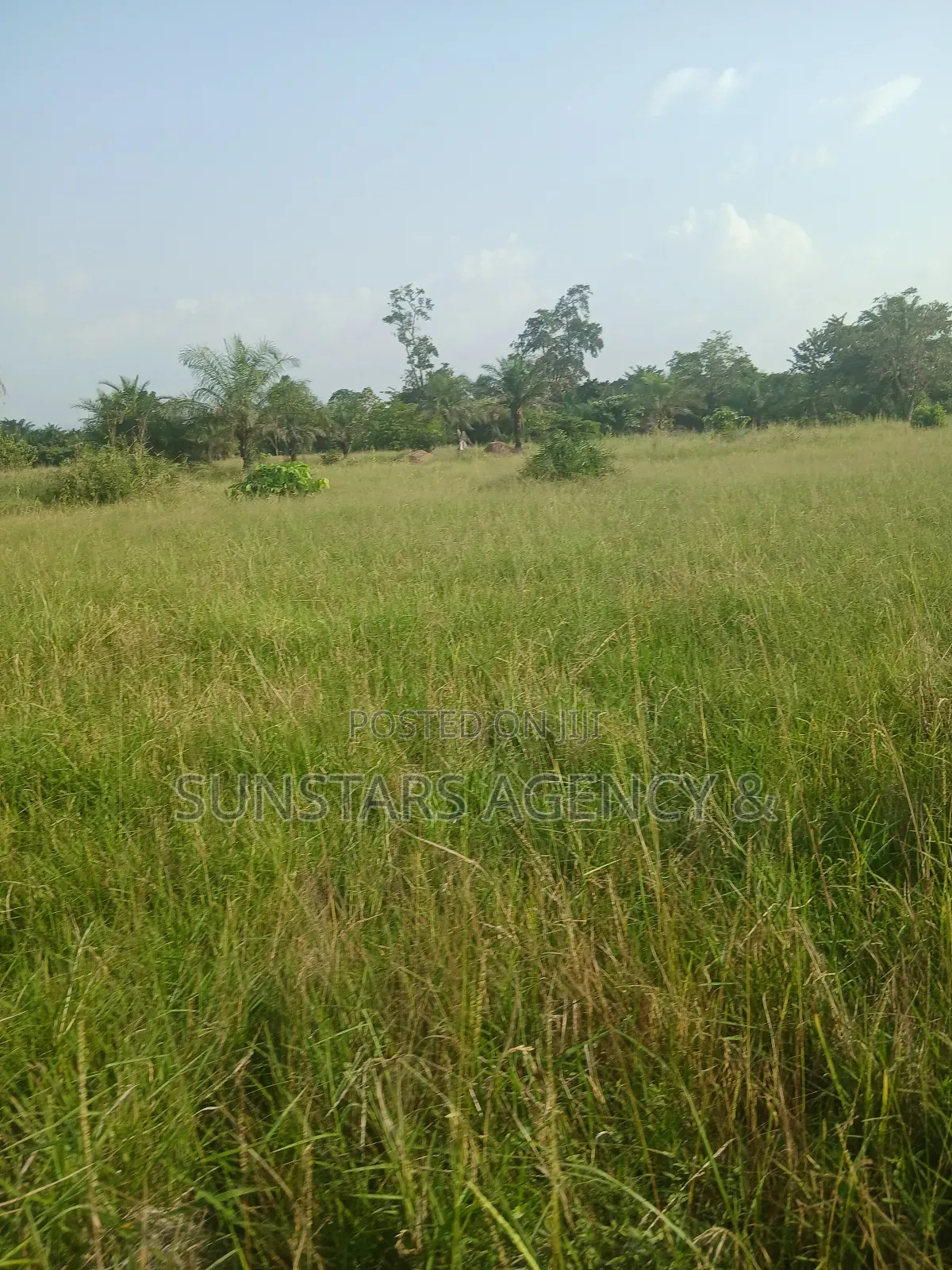 Wet Land for Sale