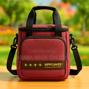 Double Compartment Insulated Lunch Bag