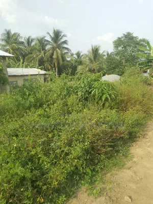 Building Plot With Single Room Self Contained