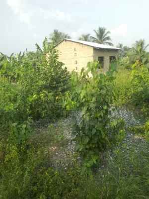 Building Plot With Single Room Self Contained