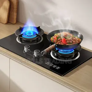 Inbuilt Gas Burner
