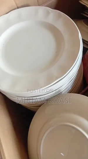 Hoteliy Ceramic Plates: Rent