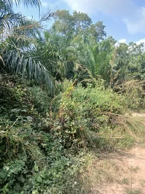 Farm Land For Sale In Hohoe