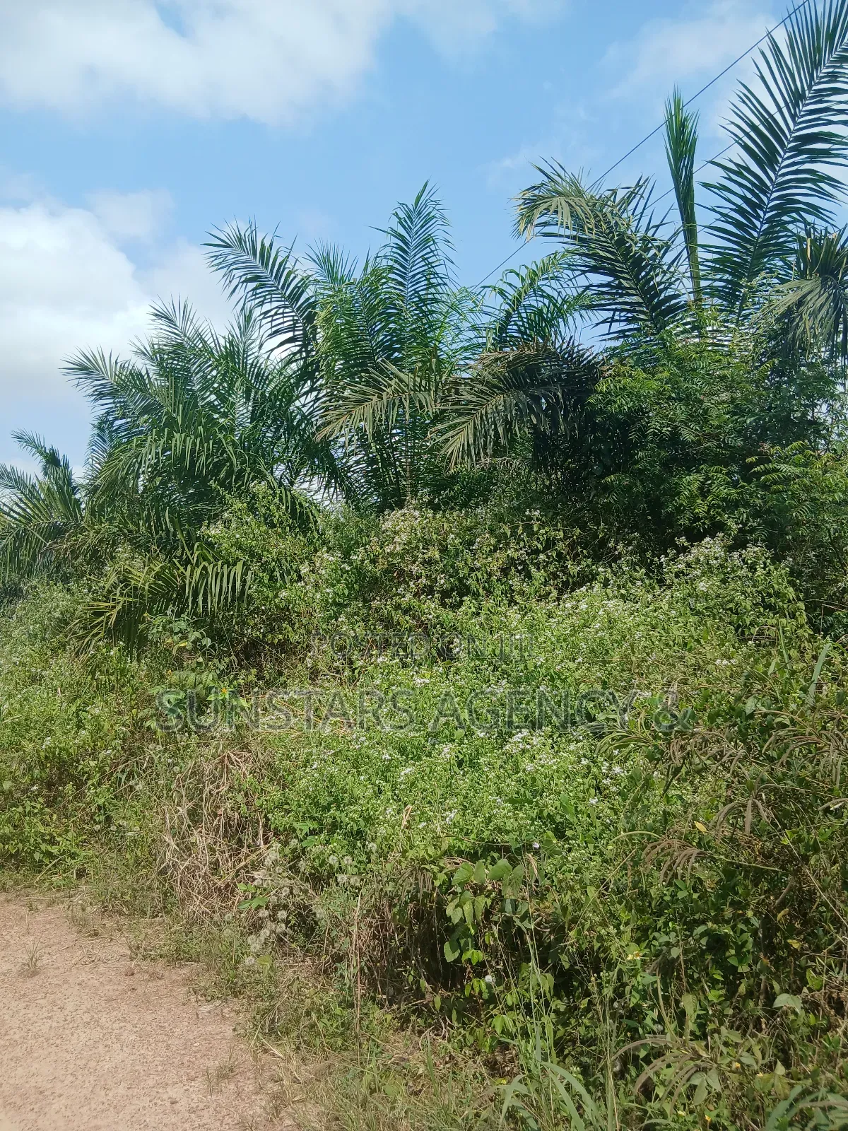 Farm Land For Sale In Hohoe