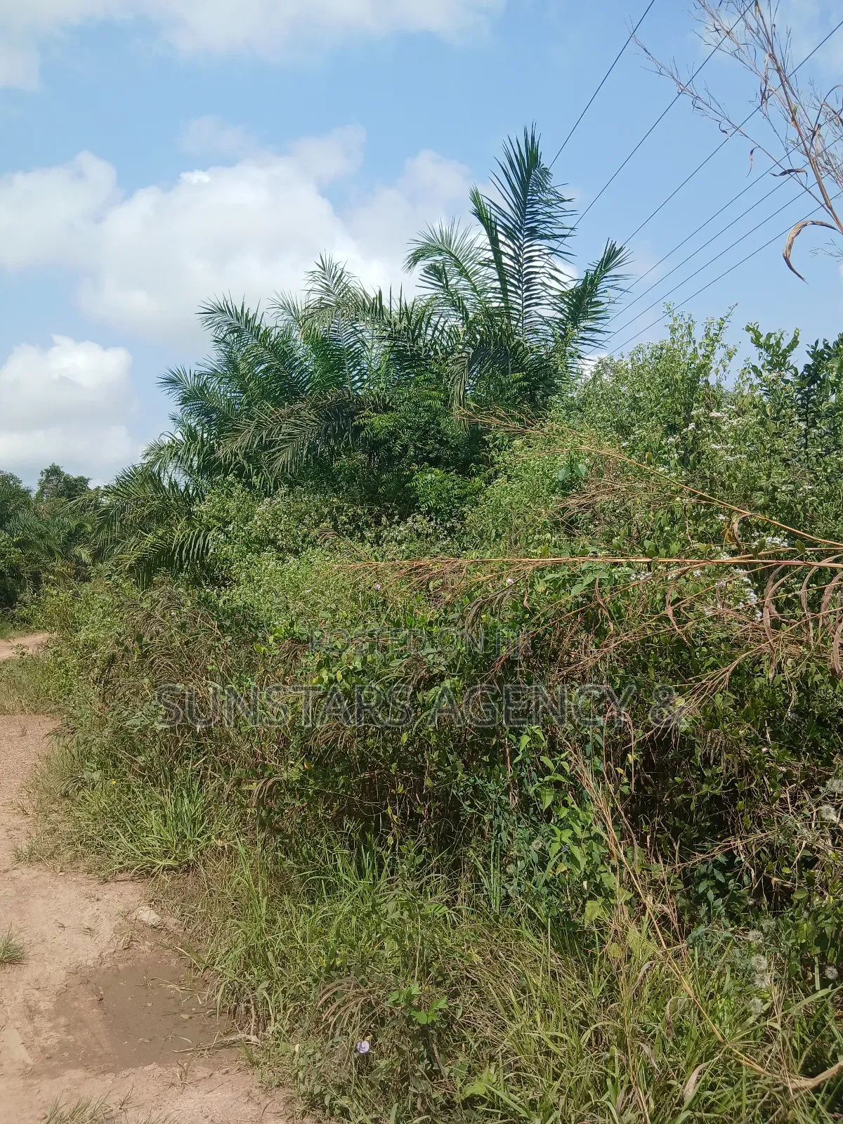Farm Land For Sale In Hohoe