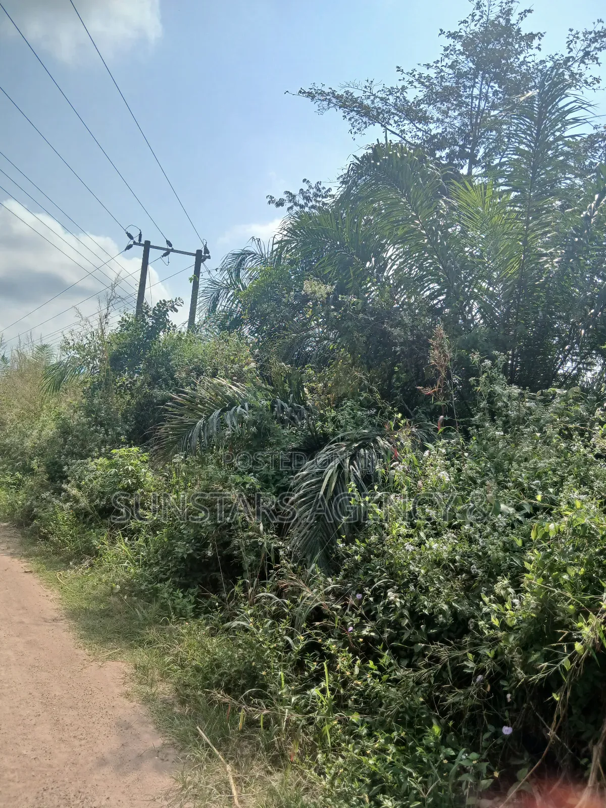 Farm Land For Sale In Hohoe