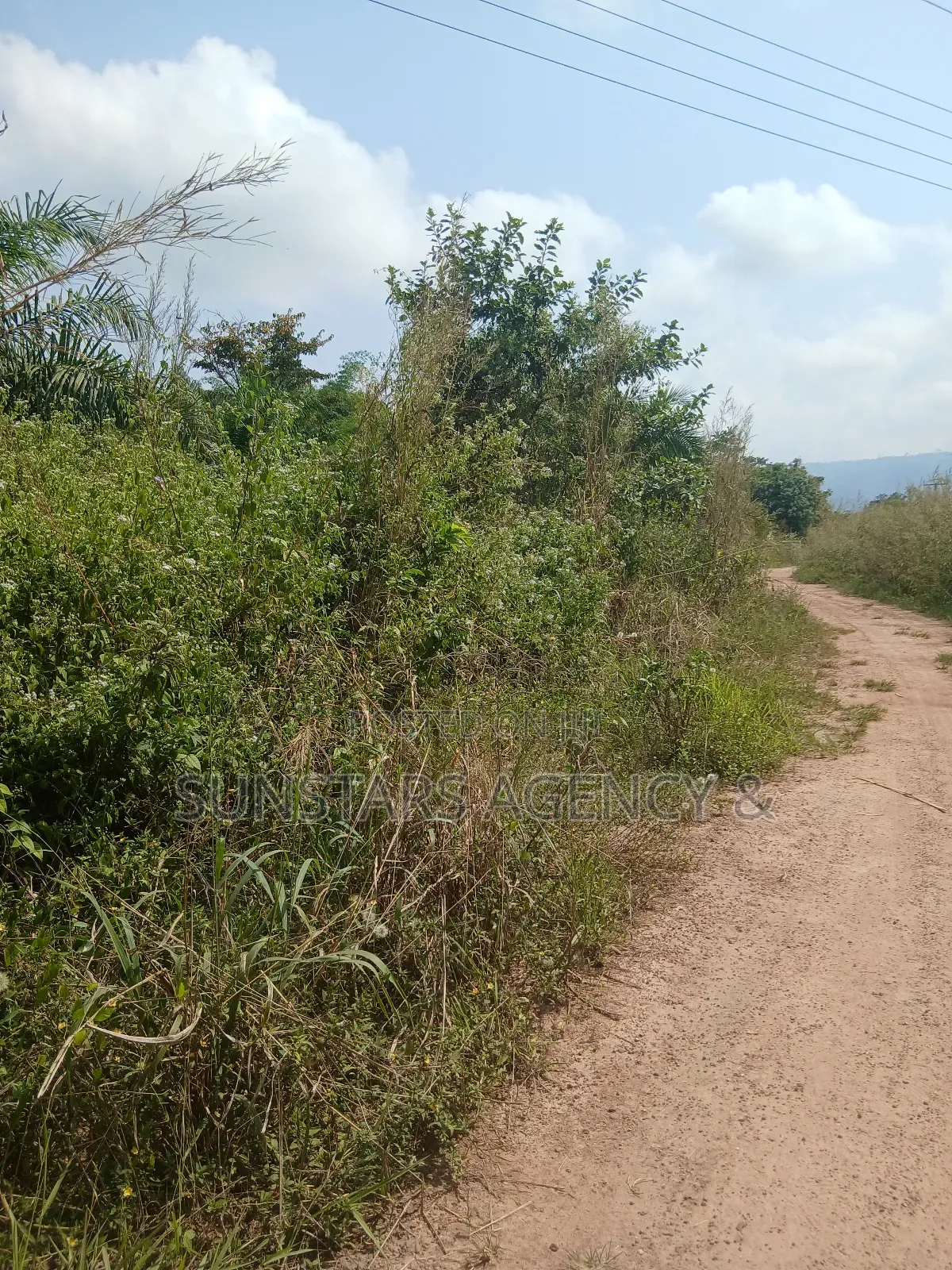 Farm Land For Sale In Hohoe