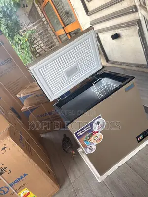 Nasco 150l Deep Freezer Consistent Performance