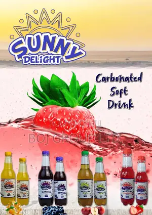 Sunny Delight (Carbonated Soft Drink)