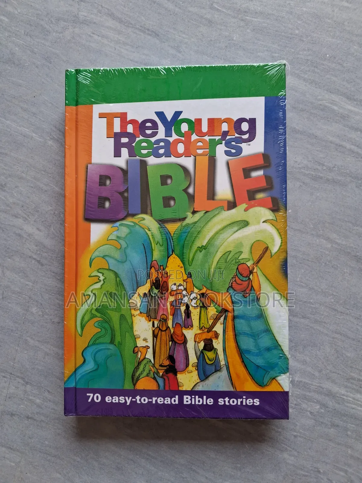 The Young Reader's Bible