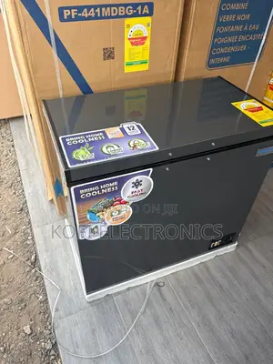 Nasco 200l Deep Freezer Smart Preservation Choice