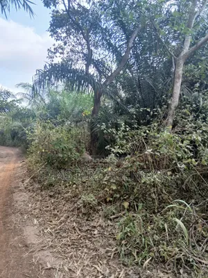 Farm Land for Sale at Wegbe,Hohoe