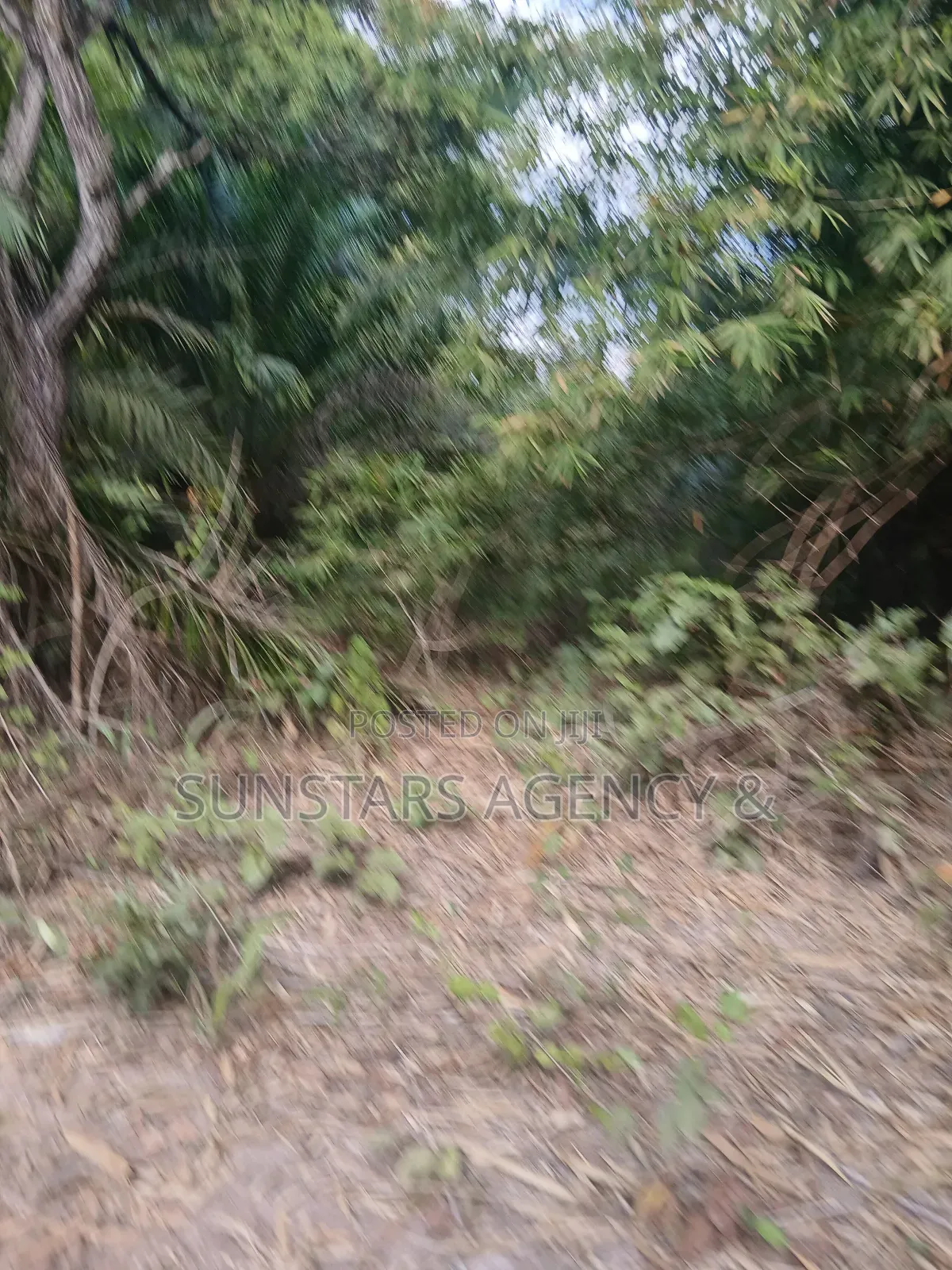 Farm Land for Sale at Wegbe,Hohoe