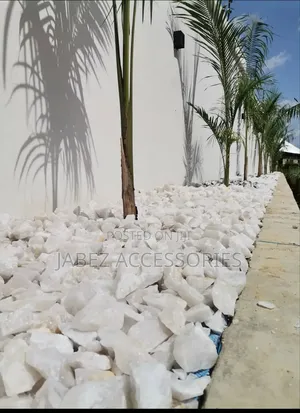 Garden Setup And Landscaping