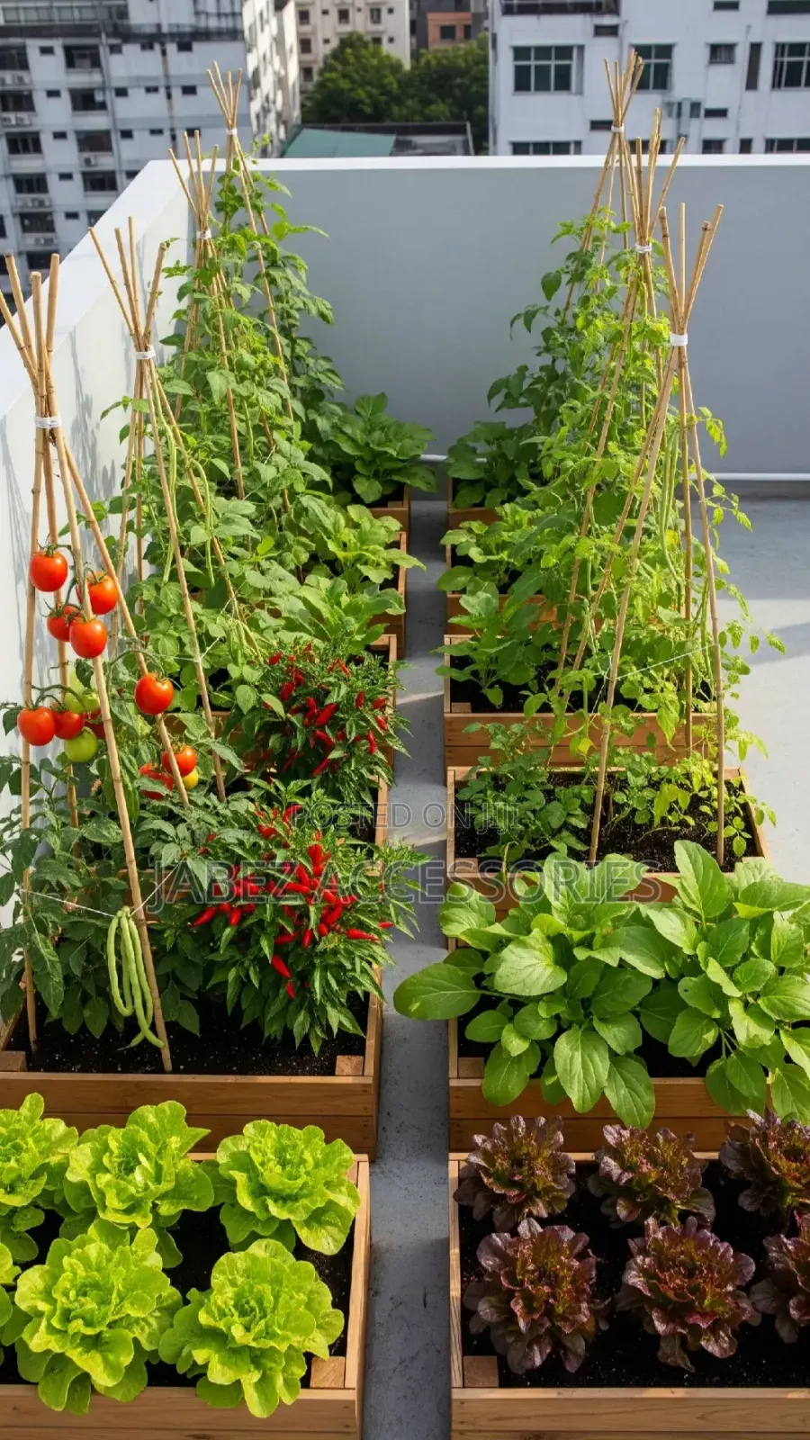 Garden Setup And Landscaping