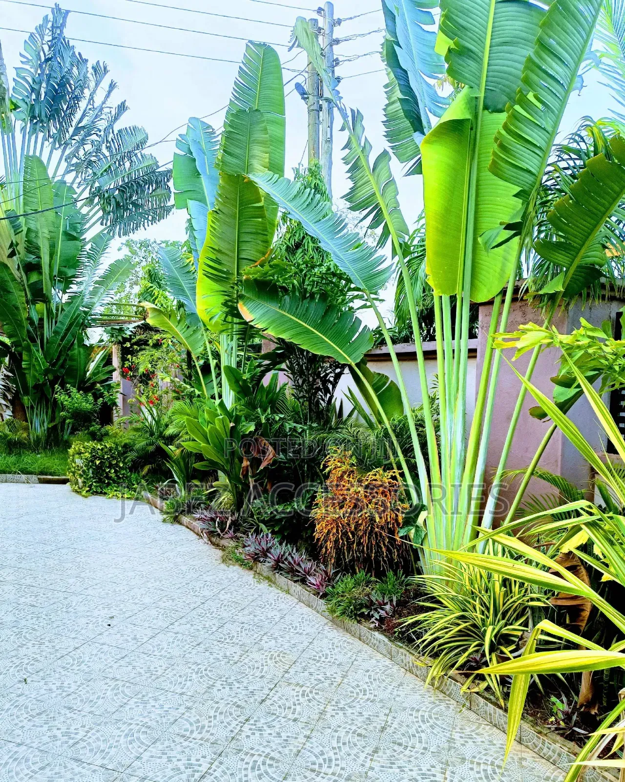 Garden Setup And Landscaping