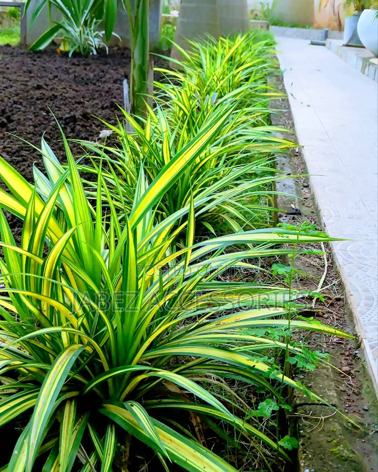 Garden Setup And Landscaping