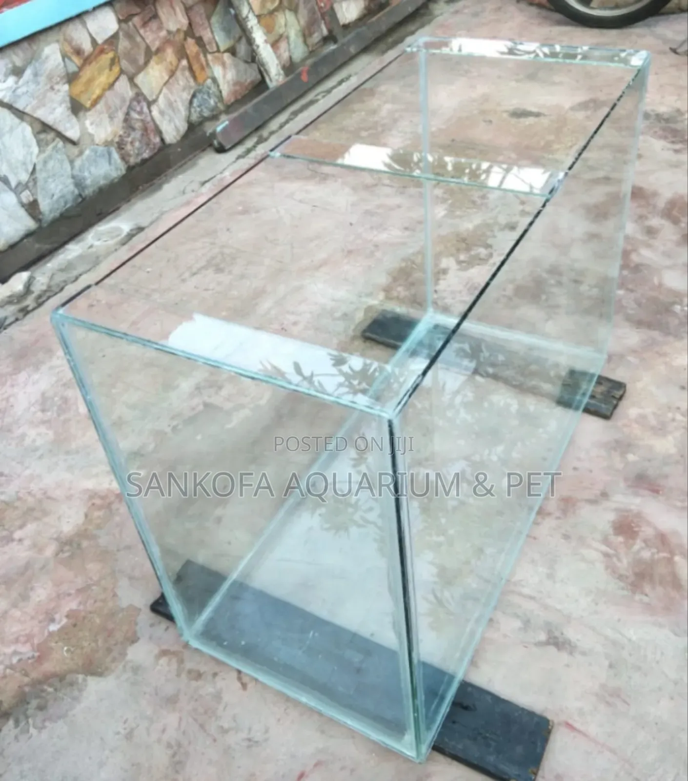 Aquarium Point Kill Fish Tank