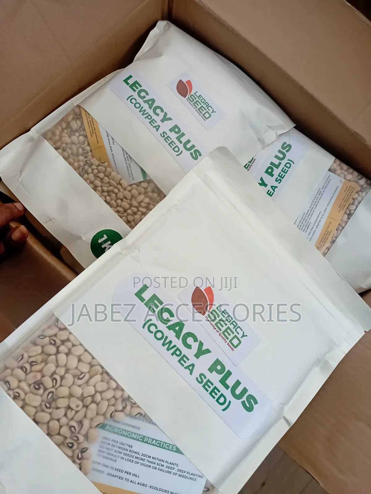 Cowpea Seeds