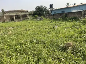 Land for Sale at Amasaman Going for 300,000 Cedis