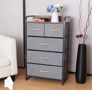 5 Drawer Dresser Storage - Multicolor