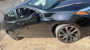 Car Rentals