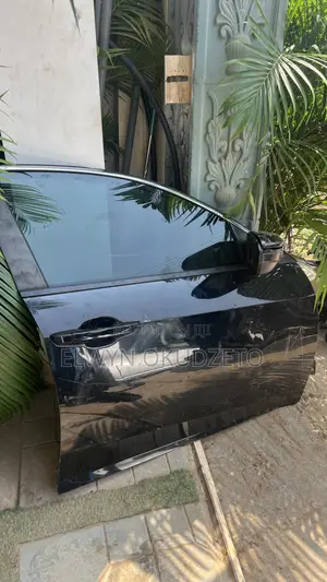 2016-2021 Honda Civic Door