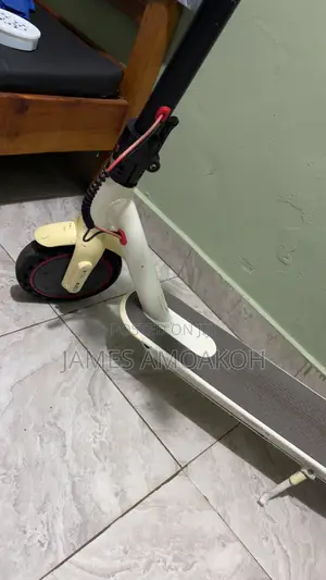 Electric Scooter