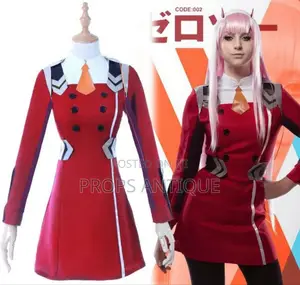 Cosplay/Anime Costumes