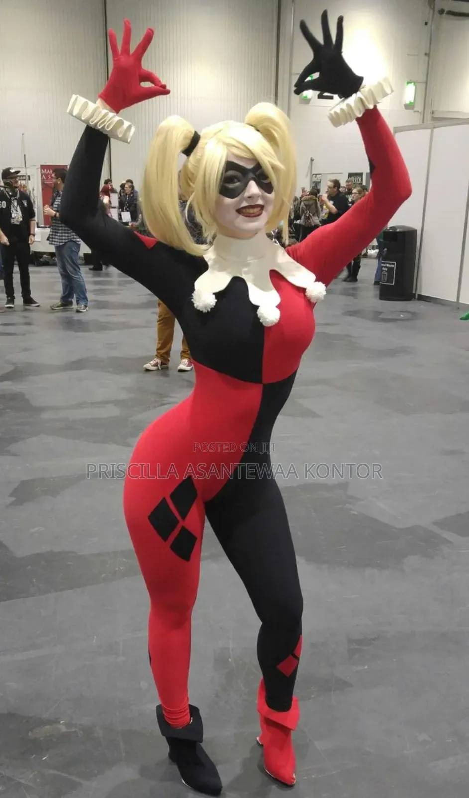 Cosplay/Anime Costumes