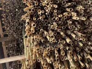 Thick Quality Bamboo for Your Decking and Flooring