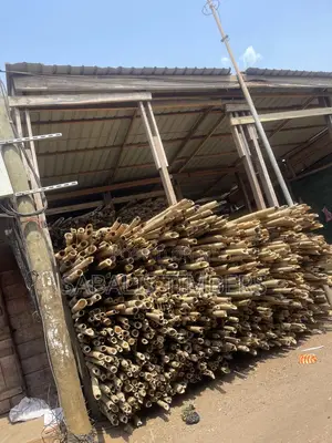 Thick Quality Bamboo for Your Decking and Flooring